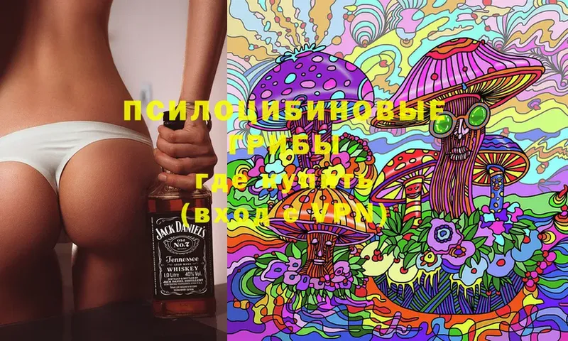 KRAKEN вход  Воткинск  Псилоцибиновые грибы Psilocybe 